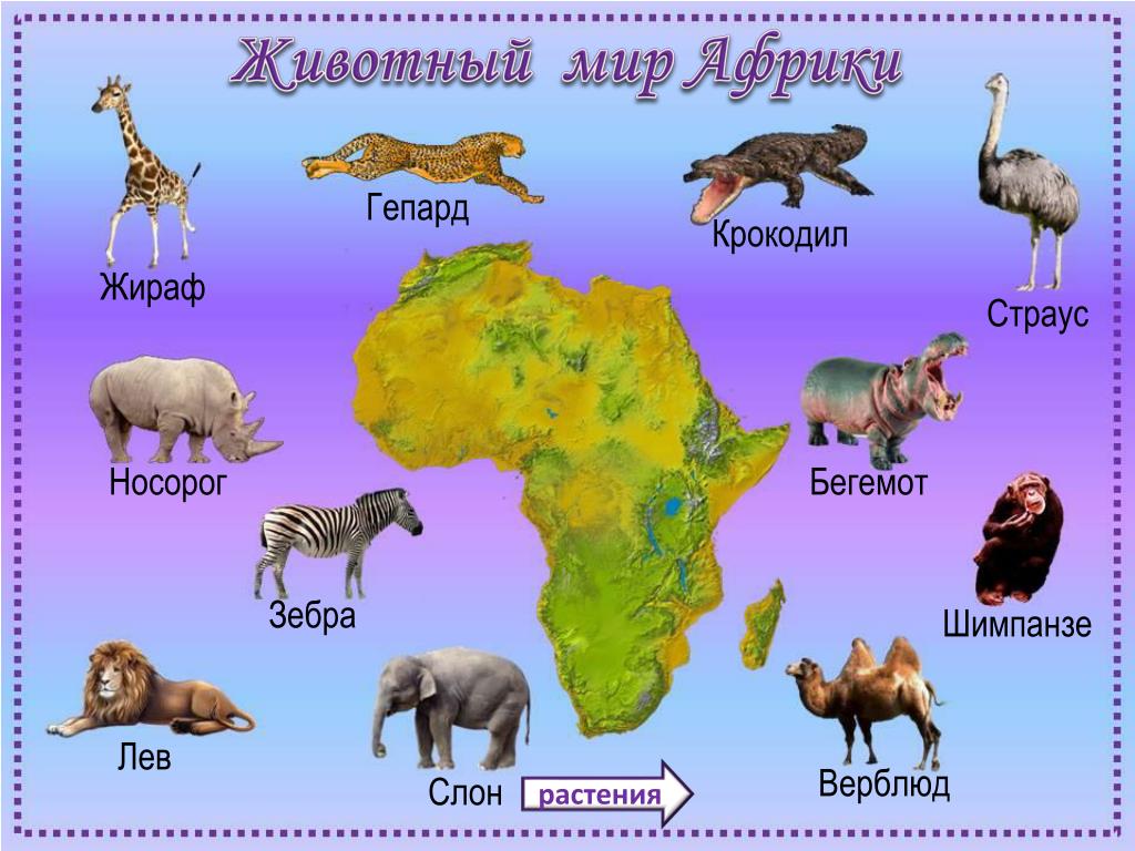 Страны мира презентация 2 класс окружающий мир плешаков африка