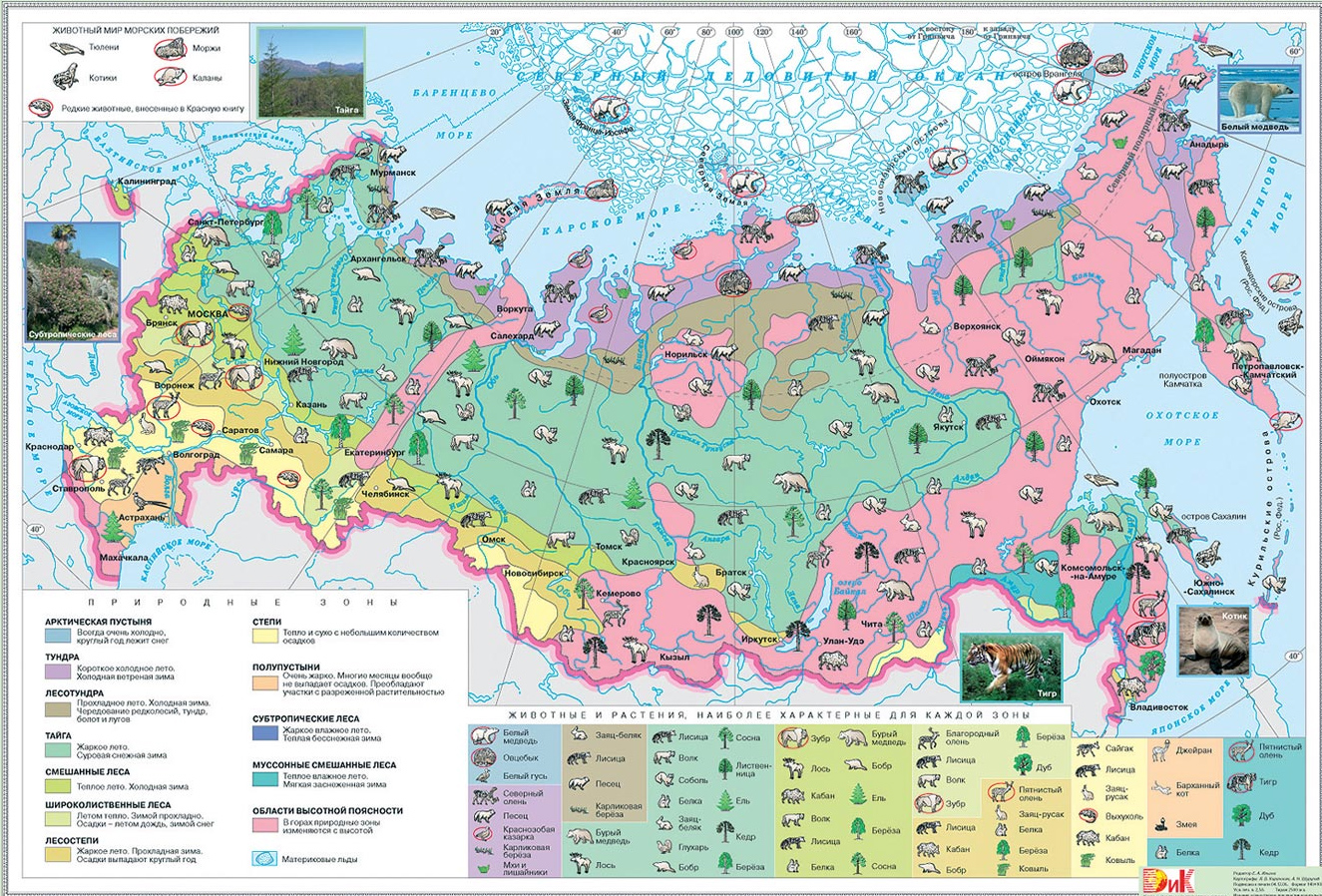Карта природных зон России с животными и растениями