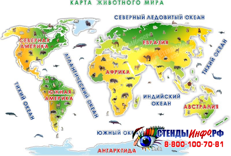 Карта только с материками