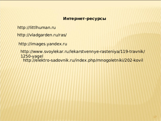 Интернет-ресурсы http://littlhuman.ru http://vladgarden.ru/ras/ http://images.yandex.ru http://www.svoylekar.ru/lekarstvennye-rasteniya/119-travnik/1250-yagel http://elektro-sadovnik.ru/index.php/mnogoletniki/202-kovil 12 