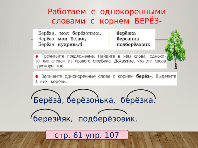 Работаем с однокоренными  словами с корнем БЕРЁЗ- Берёза, берёзонька, берёзка, березняк, подберёзовик. стр. 61 упр. 107 