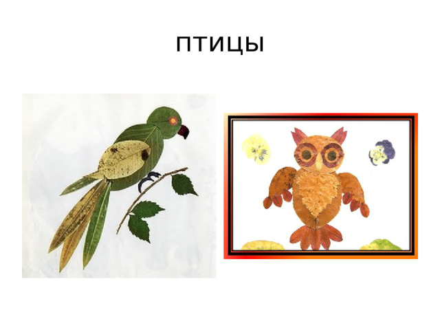 птицы 