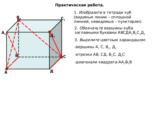 Практическая работа. 1. Изобразите в тетради куб (видимые линии – сплошной линией, невидимые – пунктиром). В 1 С 1 2. Обозначьте вершины куба заглавными буквами АВСДА 1 В 1 С 1 Д 1 А 1 Д 1 3. Выделите цветным карандашом: вершины А, С, В 1 , Д 1 отрезки АВ, СД, В 1 С, Д 1 С диагонали квадрата АА 1 В 1 В  В С Д А 