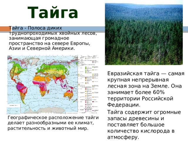 Тайга  Тайга - П олоса диких труднопроходимых хвойных лесов, занимающая громадное пространство на севере Европы, Азии и Северной Америки.  Евразийская тайга — самая крупная непрерывная лесная зона на Земле. Она занимает более 60% территории Российской Федерации.  Тайга содержит огромные запасы древесины и поставляет большое количество кислорода в атмосферу.  Географическое расположение тайги делает разнообразными ее климат, растительность и животный мир. 
