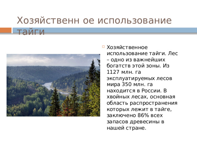 Хозяйственн ое использование тайги Хозяйственное использование тайги. Лес – одно из важнейших богатств этой зоны. Из 1127 млн. га эксплуатируемых лесов мира 350 млн. га находится в России. В хвойных лесах, основная область распространения которых лежит в тайге, заключено 86% всех запасов древесины в нашей стране. 