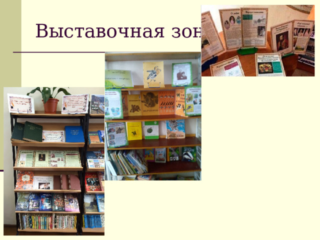 Выставочная зона 