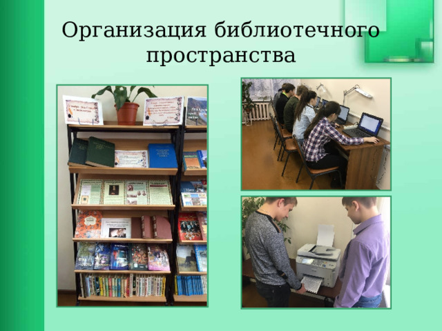 Организация библиотечного пространства 