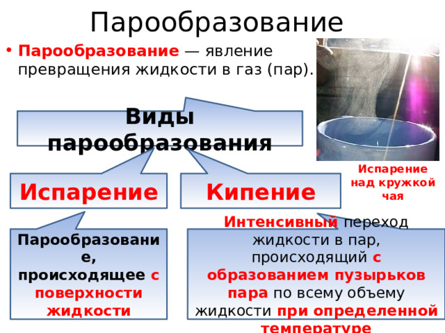 Явление превращения жидкости. Явление парообразования. Разновидности парообразования. Виды испарения.