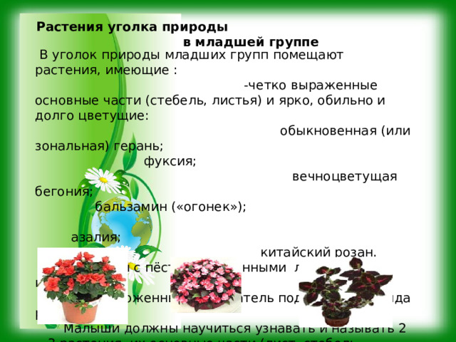 Растения уголка природы в младшей группе    В уголок природы младших групп помещают растения, имеющие : -четко выраженные основные части (стебель, листья) и ярко, обильно и долго цветущие: обыкновенная (или зональная) герань; фуксия; вечноцветущая бегония; бальзамин («огонек»); азалия; китайский розан.  -растения с пёстроокрашенными листьями –колеус  Из предложенных воспитатель подбирает 3-4 вида растений  Малыши должны научиться узнавать и называть 2—3 растения, их основные части (лист, стебель, цветок). 