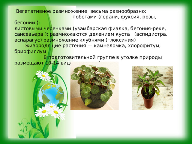  Вегетативное размножение весьма разнообразно: побегами (герани, фуксия, розы, бегонии ); листовыми черенками (узамбарская фиалка, бегония-реке, сансевьера ); размножаются делением куста (аспидистра, аспарагус) размножение клубнями (глоксиния)  живородящие растения — камнеломка, хлорофитум, бриофиллум  В подготовительной группе в уголке природы размещают 10-14 видов растений 