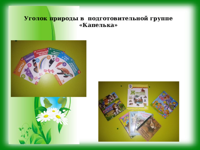 Уголок природы в подготовительной группе «Капелька» 