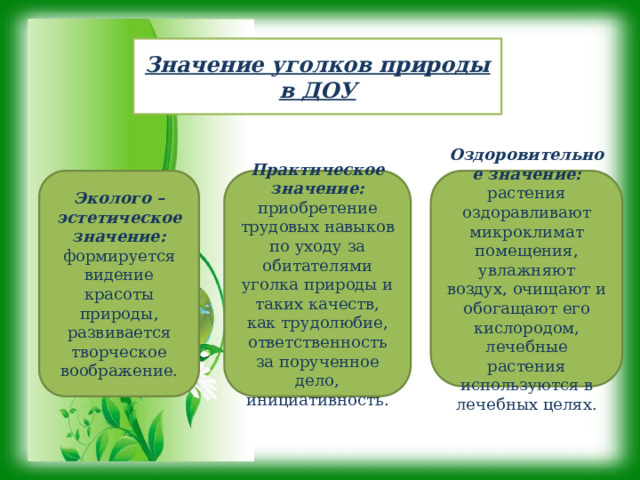 Значение уголков природы в ДОУ Эколого – эстетическое значение: формируется видение красоты природы, развивается творческое воображение.  Оздоровительное значение: растения оздоравливают микроклимат помещения, увлажняют воздух, очищают и обогащают его кислородом, лечебные растения используются в лечебных целях. Практическое значение: приобретение трудовых навыков по уходу за обитателями уголка природы и таких качеств, как трудолюбие, ответственность за порученное дело, инициативность. 