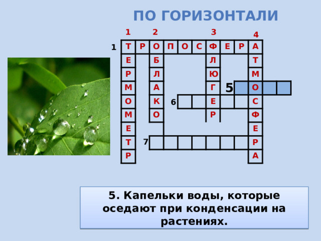 По горизонтали 1 3 2 4 1 Т Р Е О Р М Б П О Л О С М А Ф Е К Т Е О Л Р Р Ю А Г Т Е М Р О С Ф Е Р А 5 6 7 5. Капельки воды, которые оседают при конденсации на растениях. 