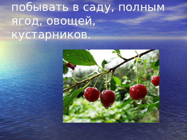побывать в саду, полным ягод, овощей, кустарников. 