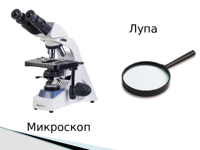 Лупа Микроскоп 