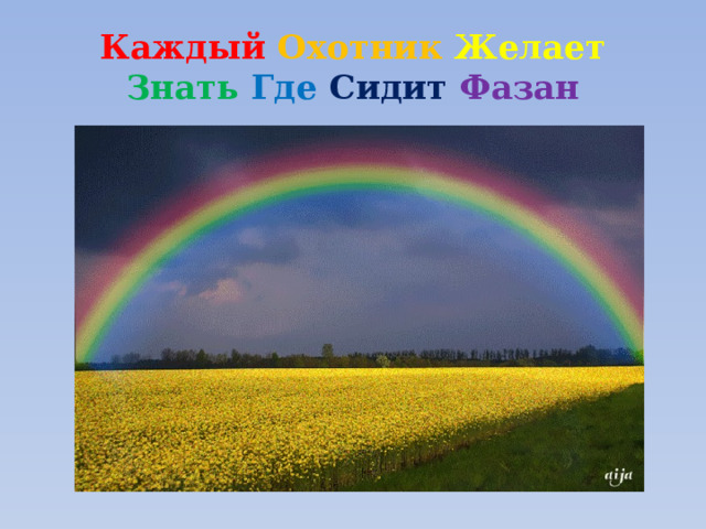 Каждый охотник желает знать где сидит фазан цвета радуги фото по порядку список