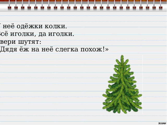 У неё одёжки колки. Всё иголки, да иголки. Звери шутят: «Дядя ёж на неё слегка похож!» 