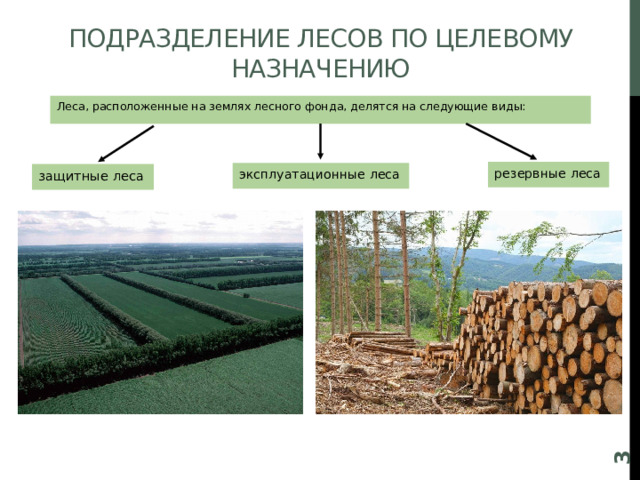 Виды лесов защитные эксплуатационные резервные. Резервные леса. Виды лесов по целевому назначению. Категории лесов по целевому назначению.