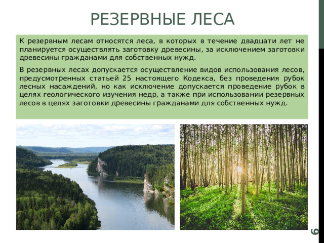 Природный лес относят к. К рекреационным лесам относятся:. Концепция леса. Резервные леса. Примеры резервных лесов.