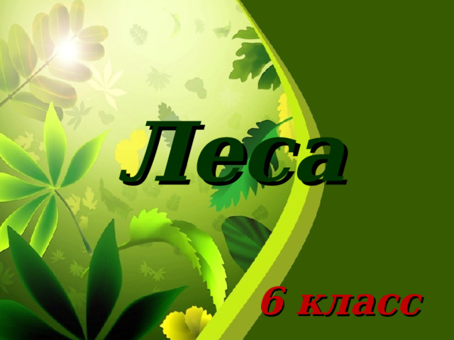  Леса 6 класс 