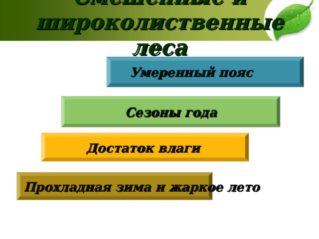 Смешенные и широколиственные леса  Умеренный пояс Сезоны года Достаток влаги Прохладная зима и жаркое лето 