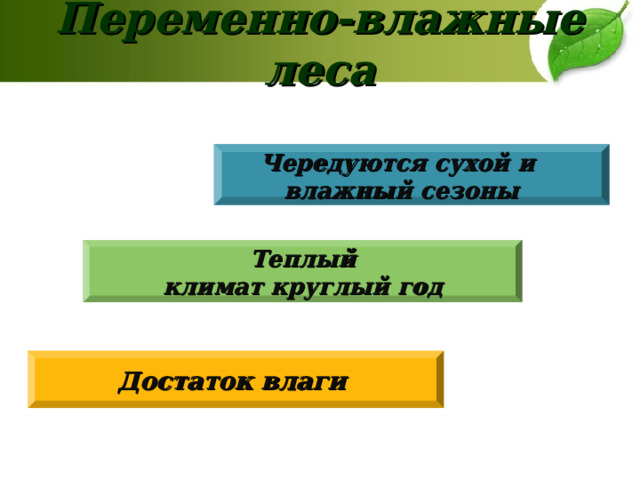 Переменно-влажные леса  Чередуются сухой и влажный сезоны Теплый климат круглый год Достаток влаги 