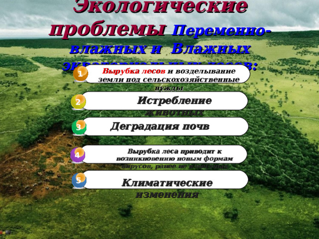  Экологические проблемы Переменно-влажных и Влажных экваториальных лесов: Вырубка лесов и возделывание земли под сельскохозяйственные нужды 1 Истребление животных 2 Деградация почв 3 3 Вырубка леса приводит к возникновению новым формам вирусов, ранее не известных 4 4 5 Климатические изменения 