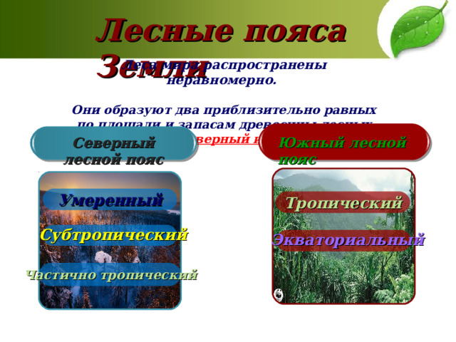 Лесные пояса Земли Леса мира распространены неравномерно.   Они образуют два приблизительно равных по площади и запасам древесины лесных пояса —   северный и южный.  Южный лесной пояс Северный лесной пояс Умеренный Тропический Субтропический Экваториальный Частично тропический 