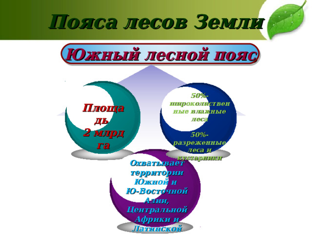 Пояса лесов Земли Южный лесной пояс 50%-широколиственные влажные леса  50%- разреженные леса и кустарники  Площадь 2 млрд га  Охватывает территории Южной и Ю-Восточной Азии, Центральной Африки и Латинской Америки 