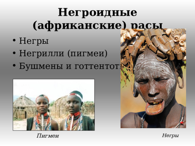 Негроидные (африканские) расы Негры Негрилли (пигмеи) Бушмены и готтентоты  Негры Пигмеи  