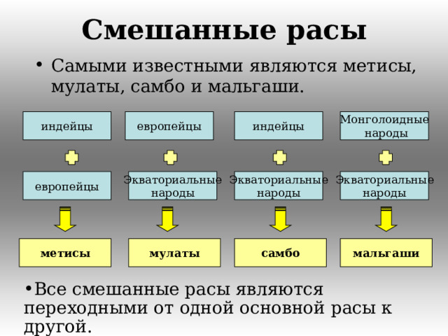 Смешанные расы Самыми известными являются метисы, мулаты, самбо и мальгаши. индейцы Монголоидные  народы европейцы индейцы Экваториальные народы Экваториальные народы Экваториальные народы европейцы самбо мальгаши мулаты метисы Все смешанные расы являются переходными от одной основной расы к другой.  