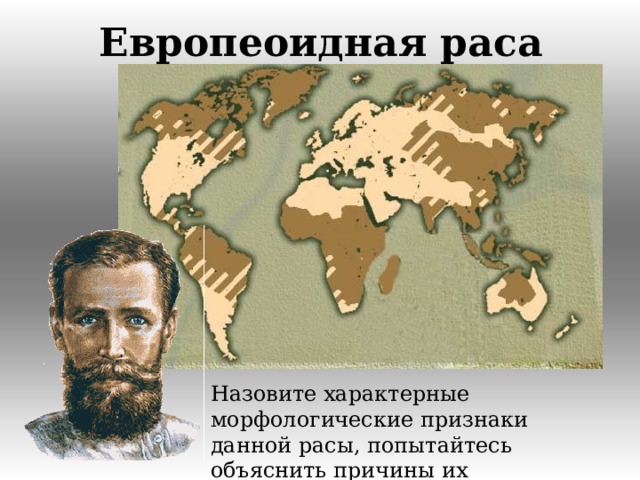 Европеоидная раса Назовите характерные морфологические признаки данной расы, попытайтесь объяснить причины их возникновения.  