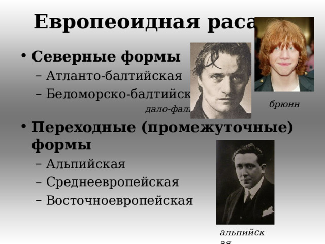 Европеоидная раса Северные формы Атланто-балтийская Беломорско-балтийская Атланто-балтийская Беломорско-балтийская   дало-фальская    дало-фальская  Переходные (промежуточные) формы  Альпийская Среднеевропейская Восточноевропейская Альпийская Среднеевропейская Восточноевропейская брюнн альпийская  