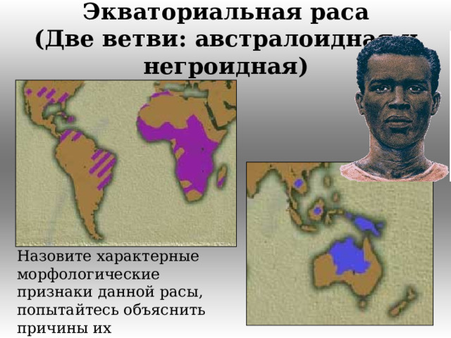 Экваториальная раса  (Две ветви: австралоидная и негроидная) Назовите характерные морфологические признаки данной расы, попытайтесь объяснить причины их возникновения.  