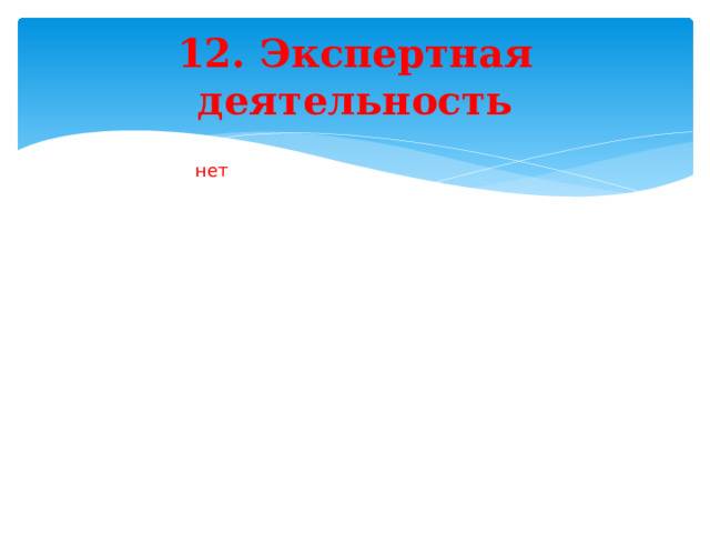 12. Экспертная деятельность нет 