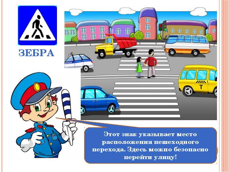 Пдд зебра картинка