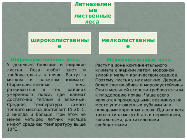 Летнезеленые лиственные леса широколиственные мелколиственные Широколиственные леса. У деревьев большие и широкие листья. Леса любят свет и требовательны к почве. Растут в мягком и влажном климате. Широколиственные леса развиваются в тех районах умеренного пояса, где климат достаточно теплый и влажный. Средняя температура самого теплого месяца достигает 15-20°С, а иногда и больше. При этом не менее четырех летних месяцев имеют среднюю температуру выше 10°С. Мелколиственные леса. Растут в зоне континентального климата с жарким летом, морозной зимой и малым количеством осадков. Поэтому листья у них мелкие. Деревья более светолюбивы и морозоустойчивы. Они в меньшей степени требовательны к плодородию почвы. Чаще всего являются производными, возникнув на месте уничтоженных рубками или пожарами коренных лесов. Однако леса такого типа могут быть и первичными, зональными, растительными сообществами. 