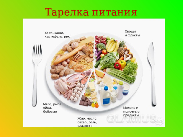 Тарелка питания Овощи и фрукты Хлеб, каши, картофель, рис Мясо, рыба яйца, бобовые Молоко и молочные продукты Жир, масло, сахар, соль, сладости 