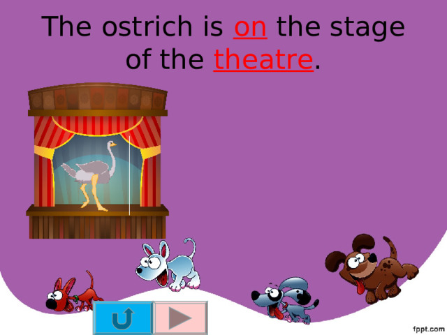 The ostrich is on the stage of the theatre . 