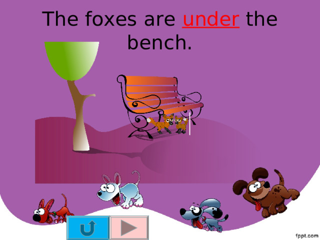 The foxes are under the bench. 