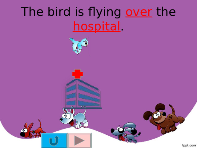 The bird is flying over the hospital . 