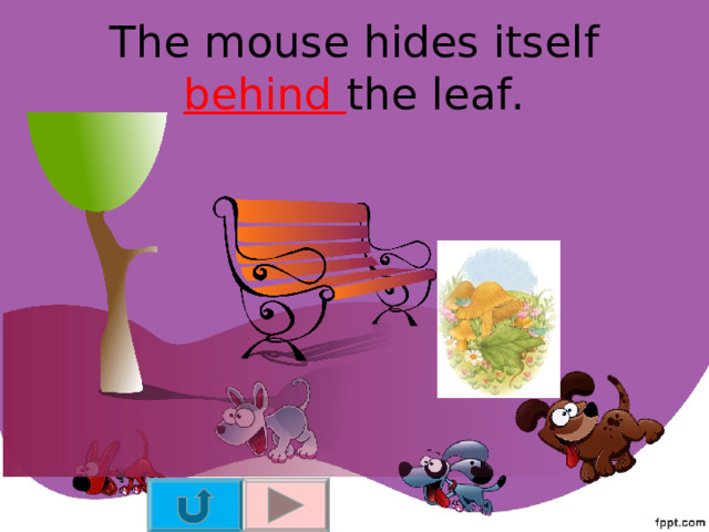 The mouse hides itself behind the leaf. 