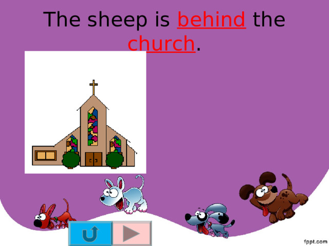 The sheep is behind the church . 
