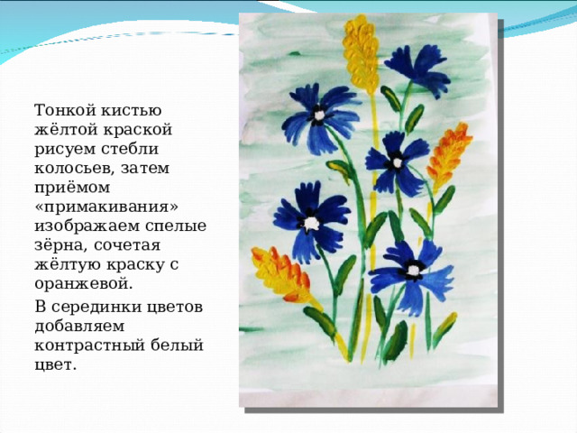 Тонкой кистью жёлтой краской рисуем стебли колосьев, затем приёмом «примакивания» изображаем спелые зёрна, сочетая жёлтую краску с оранжевой. В серединки цветов добавляем контрастный белый цвет. 
