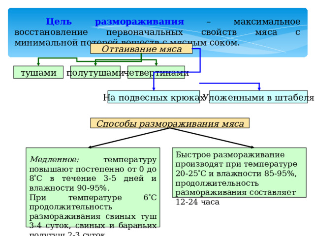 Зачистка и туалет туш санитарно гигиеническое значение этих операций