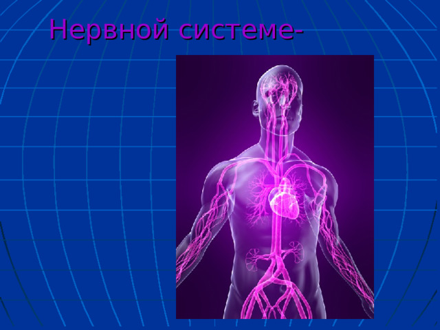 Нервной системе- 