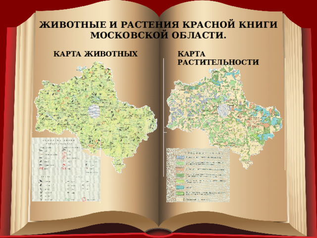 ЖИВОТНЫЕ И РАСТЕНИЯ КРАСНОЙ КНИГИ МОСКОВСКОЙ ОБЛАСТИ. КАРТА ЖИВОТНЫХ КАРТА РАСТИТЕЛЬНОСТИ 