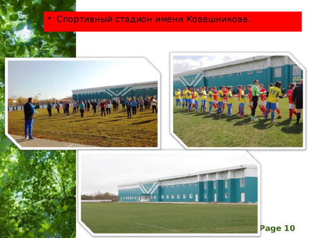 Спортивный стадион имени Ковешникова. 
