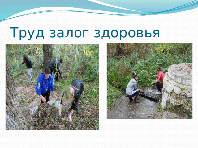 Труд залог здоровья 