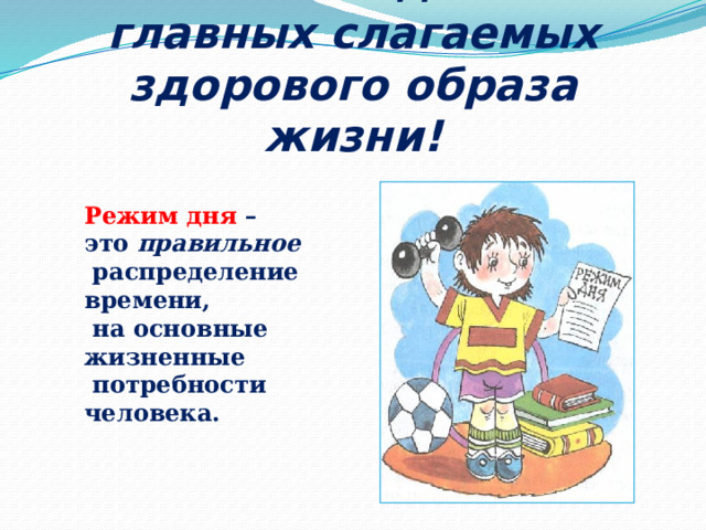 Режим – одно из главных слагаемых здорового образа жизни! Режим дня  – это правильное  распределение времени,  на основные жизненные  потребности человека. 
